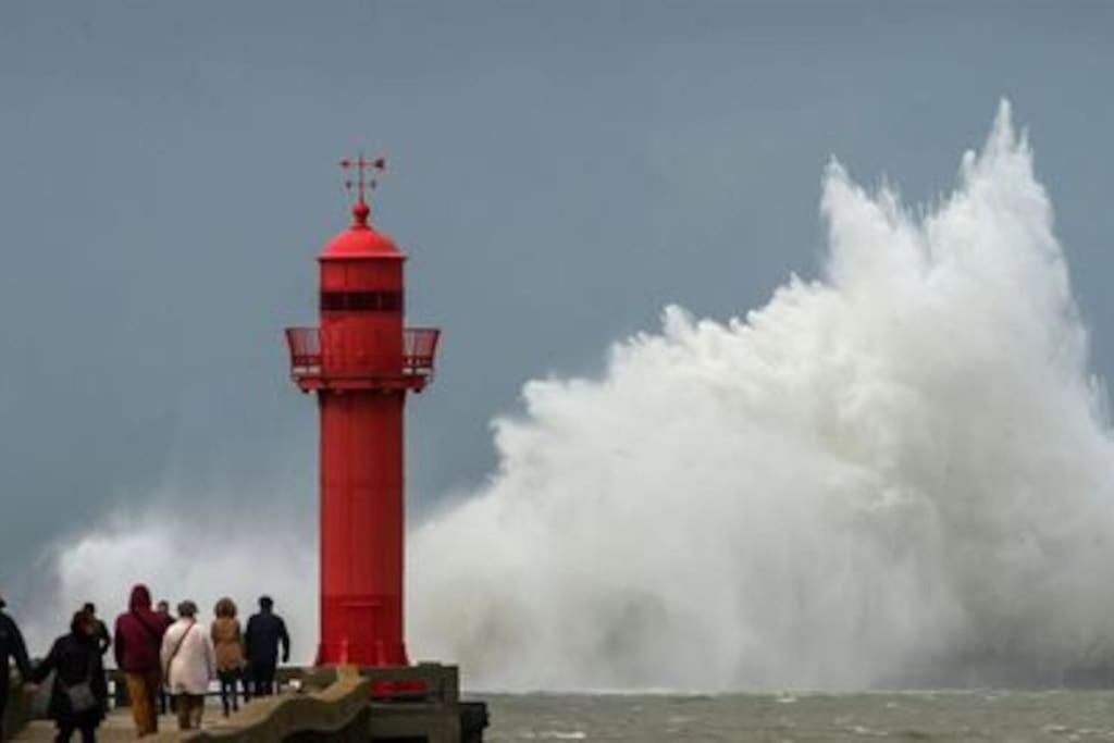Petit Nid Sur La Cote Apartment Boulogne-sur-Mer Luaran gambar